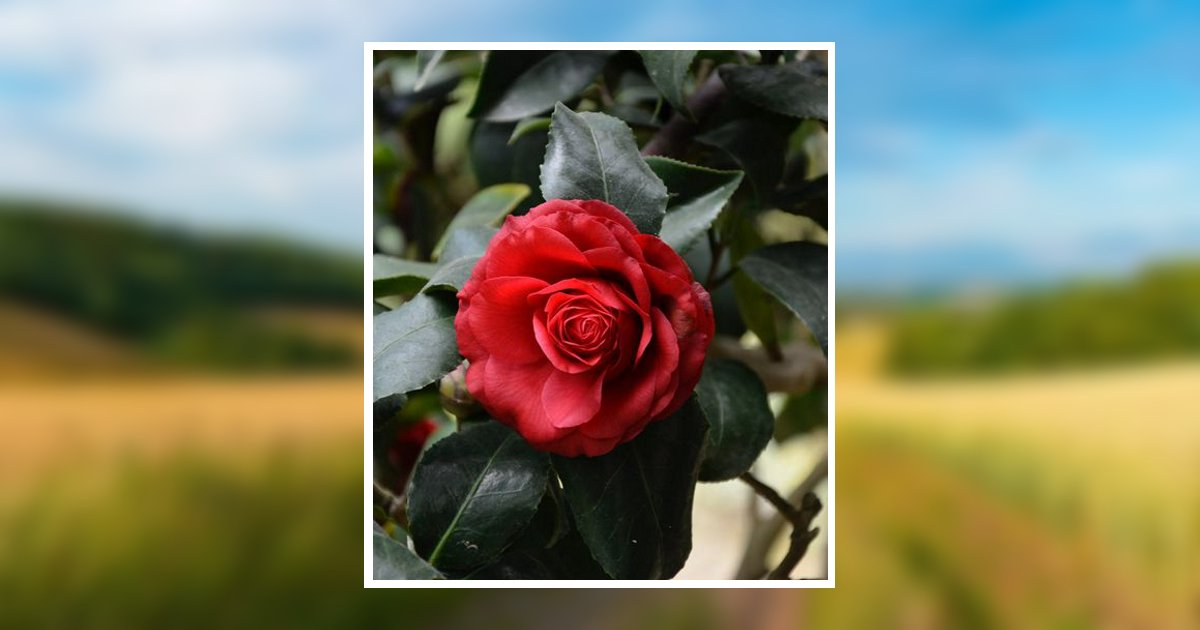 Betty Ann French Neal Obituary February 23, 2026