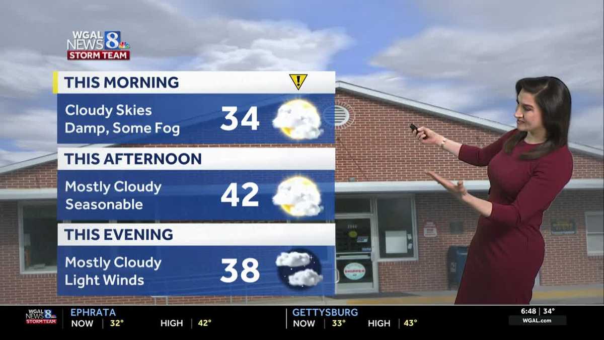 Damp start, some fog; mild week ahead