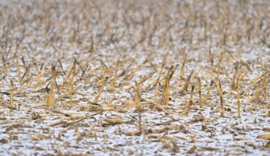 Meteorologists monitoring potential winter storm for Sunday night in south-central Pa. | Local News