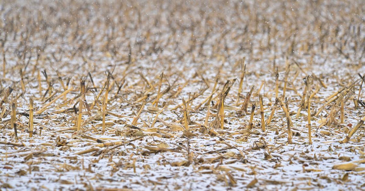 Meteorologists monitoring potential winter storm for Sunday night in south-central Pa. | Local News