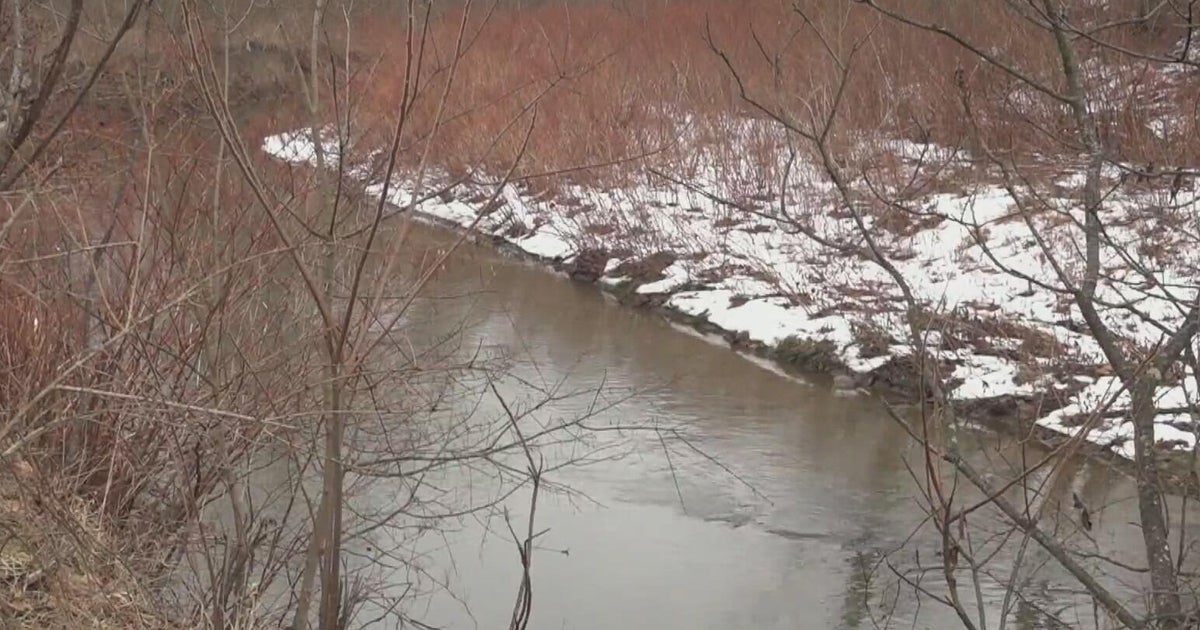 Environmental group finds elevated levels of PFAS in waterways near Pittsburgh International Airport