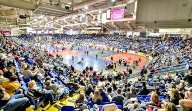 Local athletes claim gold at Pennsylvania Junior Wrestling Area II championships | Sports