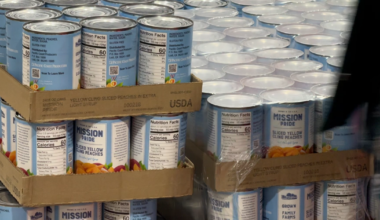 Pennsylvania Invests Millions to Fight Hunger, Bradford County Group Awarded $50,000 | News