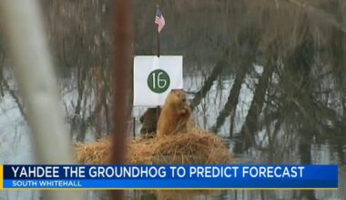 Yahdee the stuffed groundhog making weather prediction in South Whitehall | Allentown Area