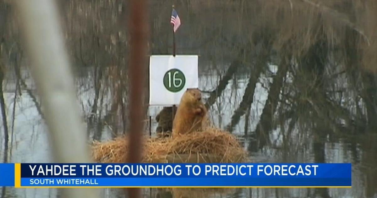 Yahdee the stuffed groundhog making weather prediction in South Whitehall | Allentown Area