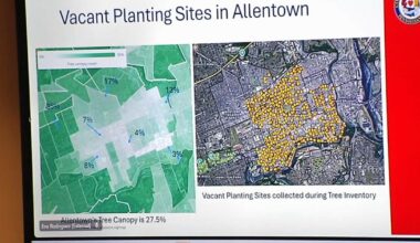 Going green: Community weighs in on Allentown's plan to plant trees in the city | Allentown Area