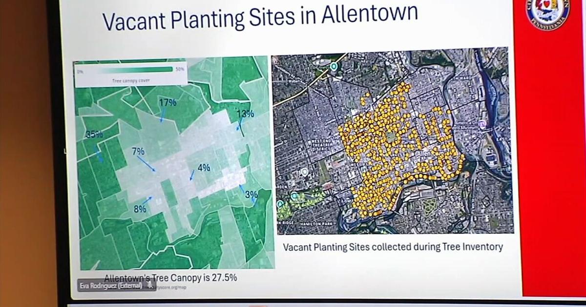 Going green: Community weighs in on Allentown's plan to plant trees in the city | Allentown Area