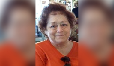 Obituary for Sandra L. (Speranzo) Sacco
