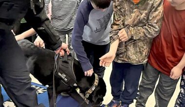 Bethlehem Elementary School Students Get Visit from K9 Comfort Dog | Pets & Horses