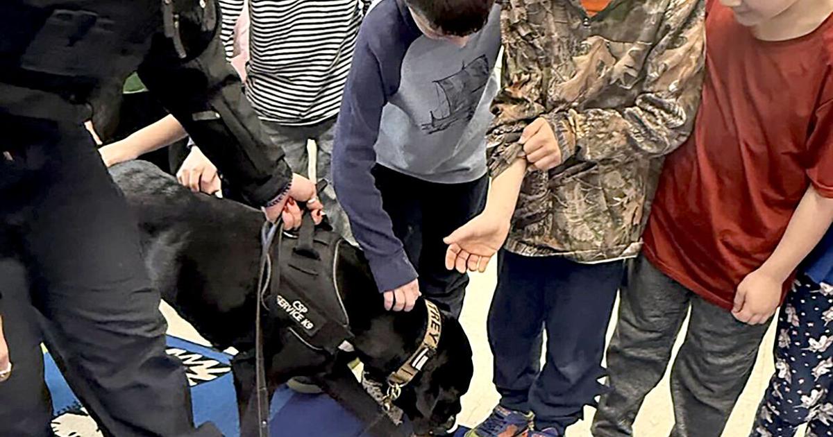 Bethlehem Elementary School Students Get Visit from K9 Comfort Dog | Pets & Horses