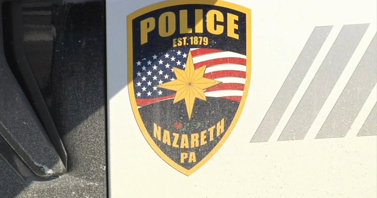‘It was in the negatives’: Nazareth man charged with animal cruelty for leaving dog in freezing cold | Nazareth Area
