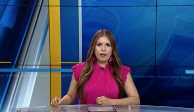 Identifican al bombero que cayó al río Delaware | Noticias