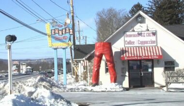 Chip, the beloved mascot of The Inside Scoop, falls victim to strong winds | Lehigh County