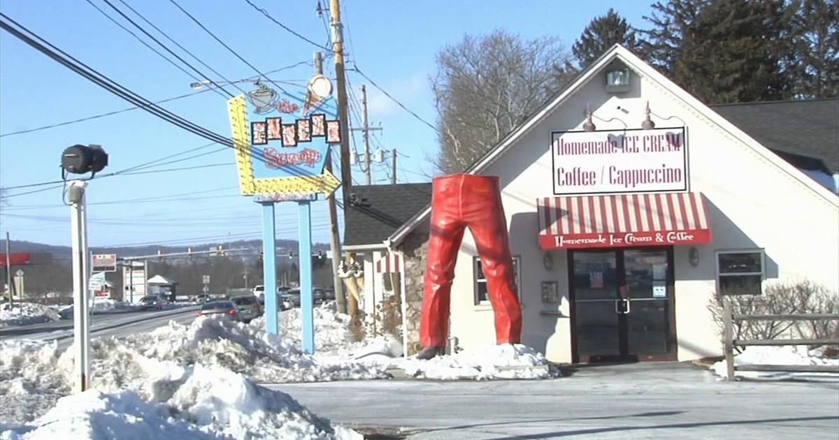 Chip, the beloved mascot of The Inside Scoop, falls victim to strong winds | Lehigh County