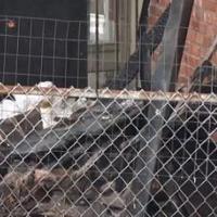 Pittsburgh man surrenders after setting fire inside home | News