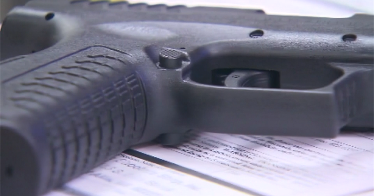 Erie County to hold License to Carry Firearm event | News