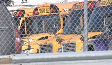 School bus driver stopped by police, taken into custody during drop-off | Berks Regional News