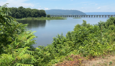 37% of Pennsylvania Streams Are Impaired in New DEP Report | Harrisburg