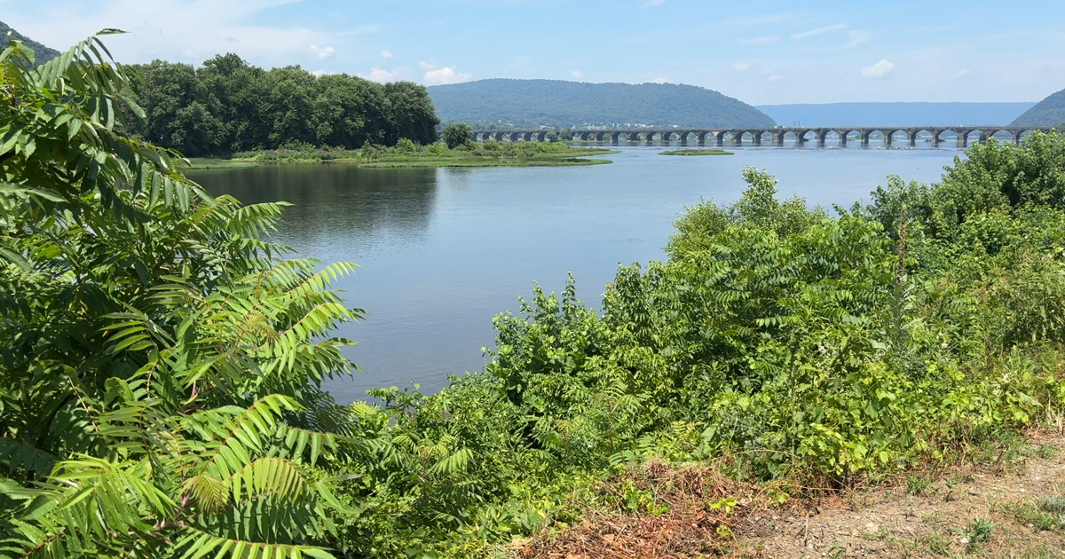 37% of Pennsylvania Streams Are Impaired in New DEP Report | Harrisburg