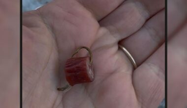 Resident warns dog owners after fishhooks with beef found in Easton | Easton Area