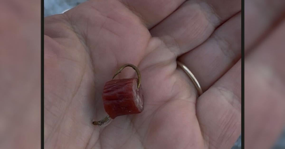 Resident warns dog owners after fishhooks with beef found in Easton | Easton Area
