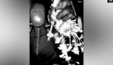 Police detain person in Nancy Guthrie's disappearance following release of surveillance video | Reading Area