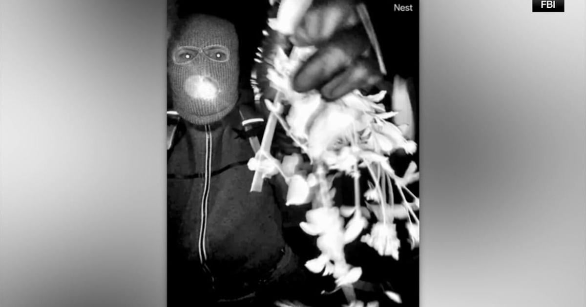 Police detain person in Nancy Guthrie's disappearance following release of surveillance video | Reading Area