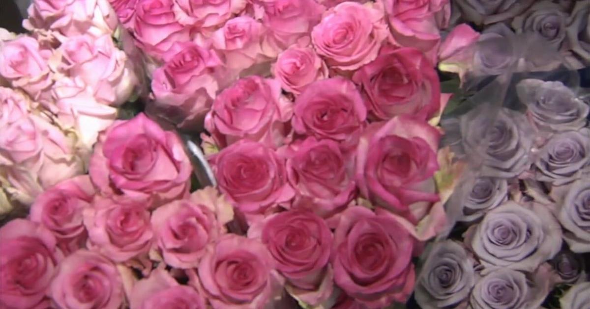 'This is like our Super Bowl': Lehigh Valley florists gear up for Valentine's Day rush | Allentown Area