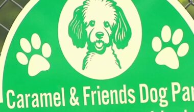 Reading's dog park closed for upgrades at Schlegel Park | Reading Area