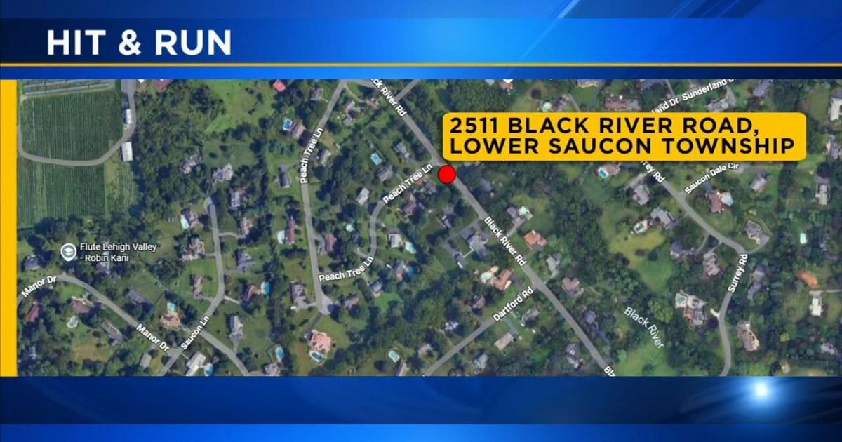 Authorities seek driver involved in Northampton County hit-and-run | Allentown Area