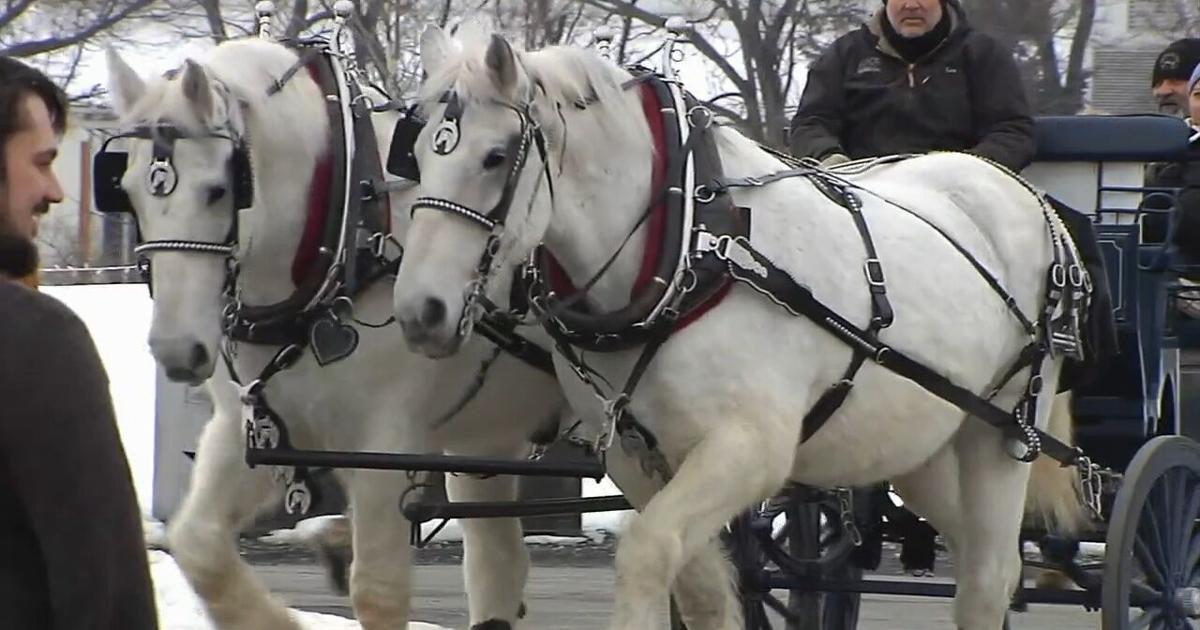 Reindeer, Donuts, and Rosé: Winter festivals warm up the Lehigh Valley | Lehigh County