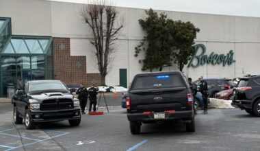 Authorities ID woman hit and killed by pickup truck in Boscov’s parking lot | Berks Regional News