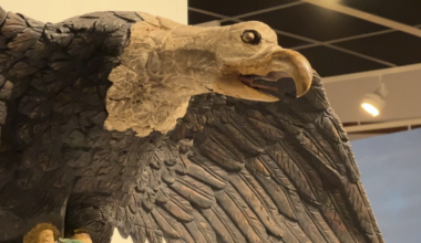 Pennsylvania Bird Nerd Helped Pick Eagle Mascot in 1782 | Harrisburg