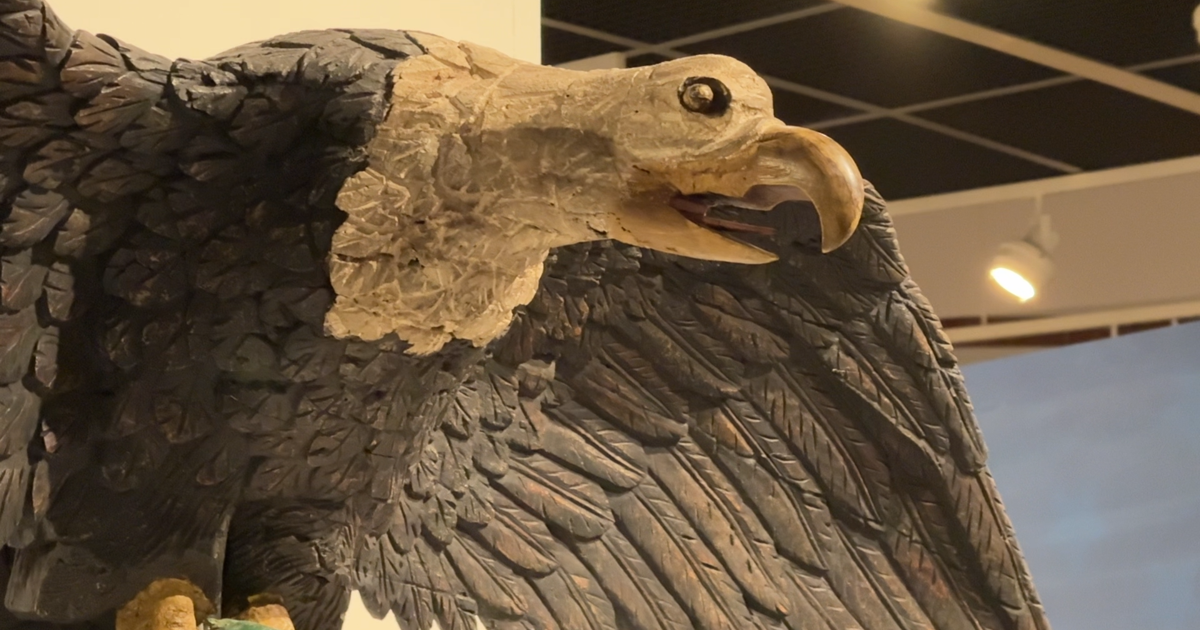 Pennsylvania Bird Nerd Helped Pick Eagle Mascot in 1782 | Harrisburg