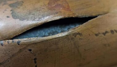 Thaw brings hidden water damage risks | Berks Regional News