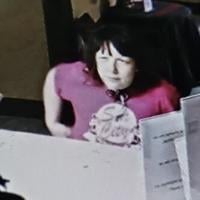 Help police identify car thief suspect in Erie county | News