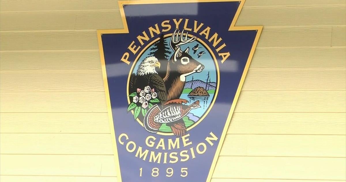 Reports of dead geese lead to park closure in Northampton Co. | Nazareth Area