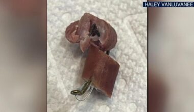 Police warn pet owners as more beef on fishhooks, razors found in Easton | Easton Area