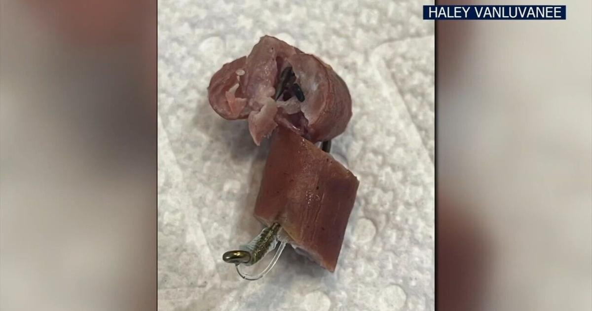 Police warn pet owners as more beef on fishhooks, razors found in Easton | Easton Area