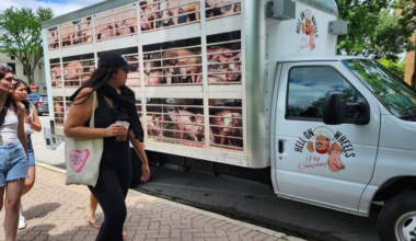 “Hell on Wheels” Traveling Exhibit Coming to Erie | News