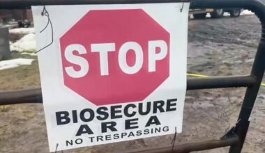 Bird flu concerns prompt closures, remapping routines in Northampton Borough | Northampton County