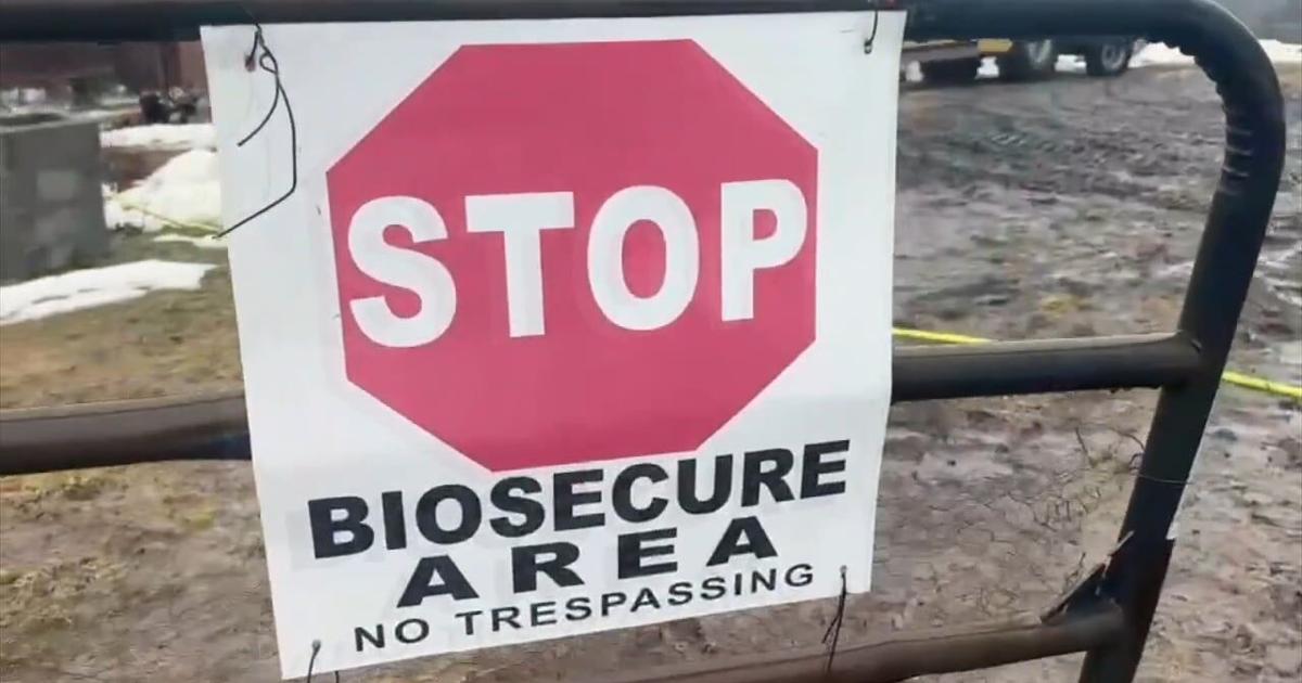 Bird flu concerns prompt closures, remapping routines in Northampton Borough | Northampton County