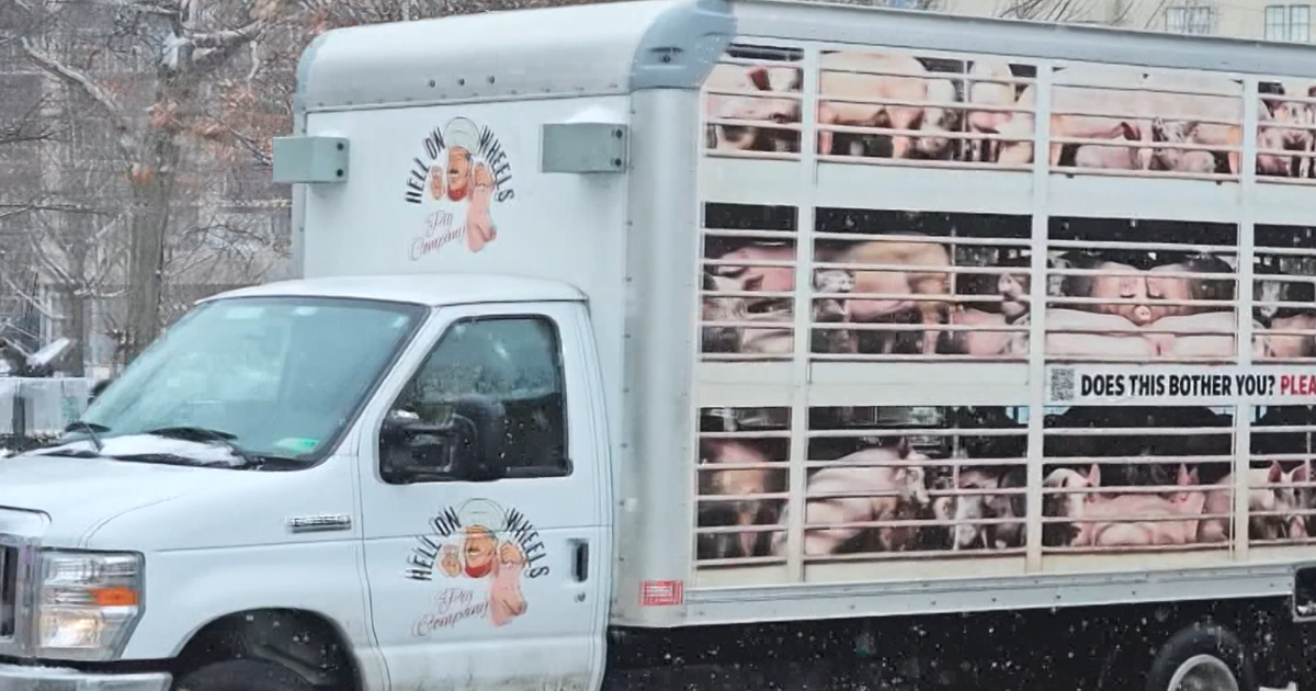 PETA Truck Make A Stop in Erie | Local News