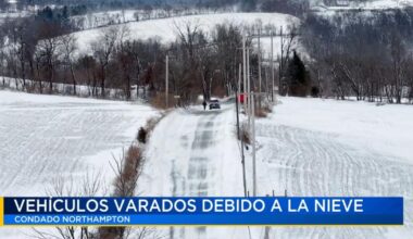 Vehículos varados en carreteras locales debido a la nieve | Noticias