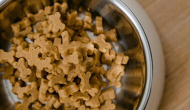 Erie City Mission and Avery’s Pawsitive Change Partnership | News