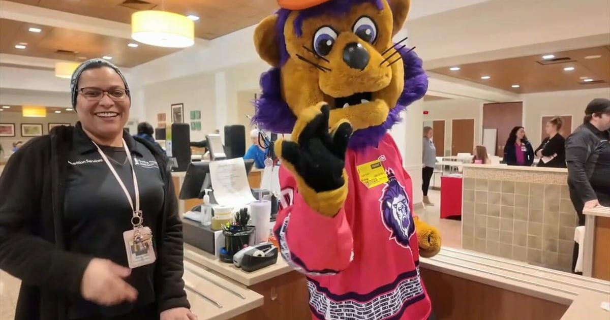 Slapshot visits Reading Hospital to promote breast cancer awareness hockey game | Reading Area