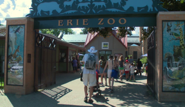 Erie Zoo to Open on Sunday | News