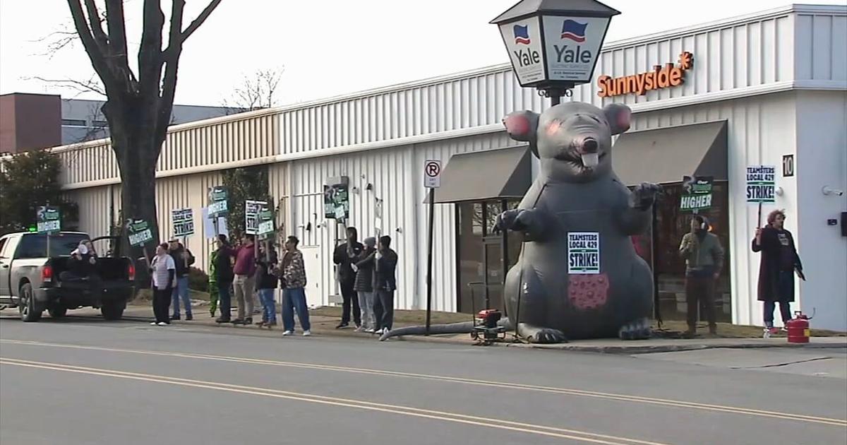 Workers on strike at marijuana dispensary in Wyomissing | Reading Area