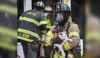 ‘Brothers helping brothers’: Dozens of fire departments rally for injured Wilson Borough firefighter | Easton Area