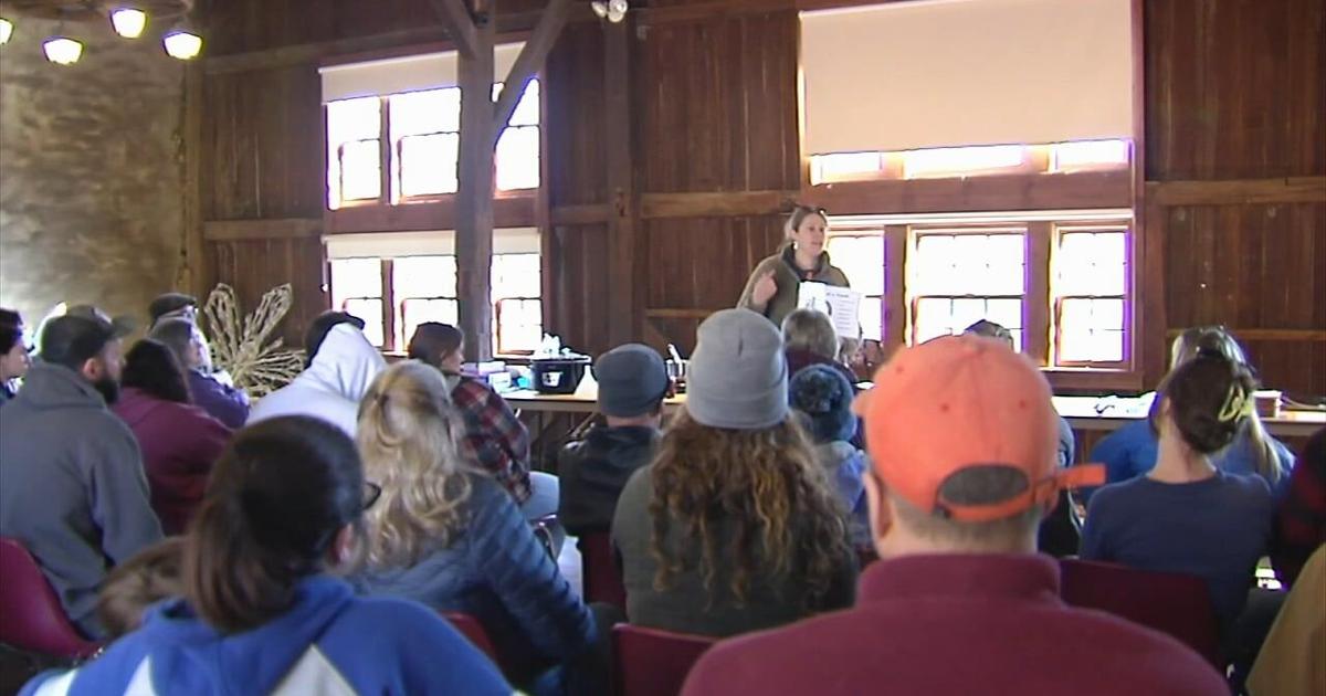 Hands-on demo at Reading park teaches tree-to-table process for maple syrup | Reading Area